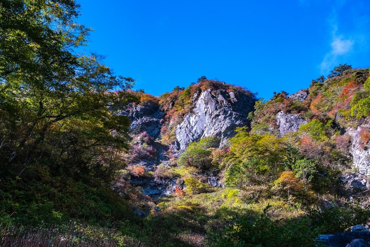 f:id:KOTARO-PARADISE:20211011222550j:plain