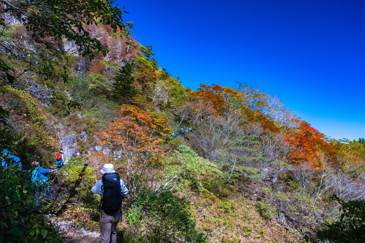f:id:KOTARO-PARADISE:20211011222635j:plain