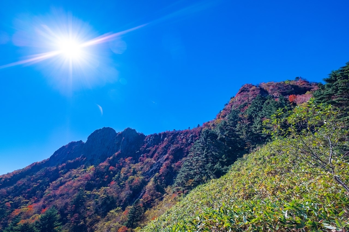 f:id:KOTARO-PARADISE:20211011222809j:plain