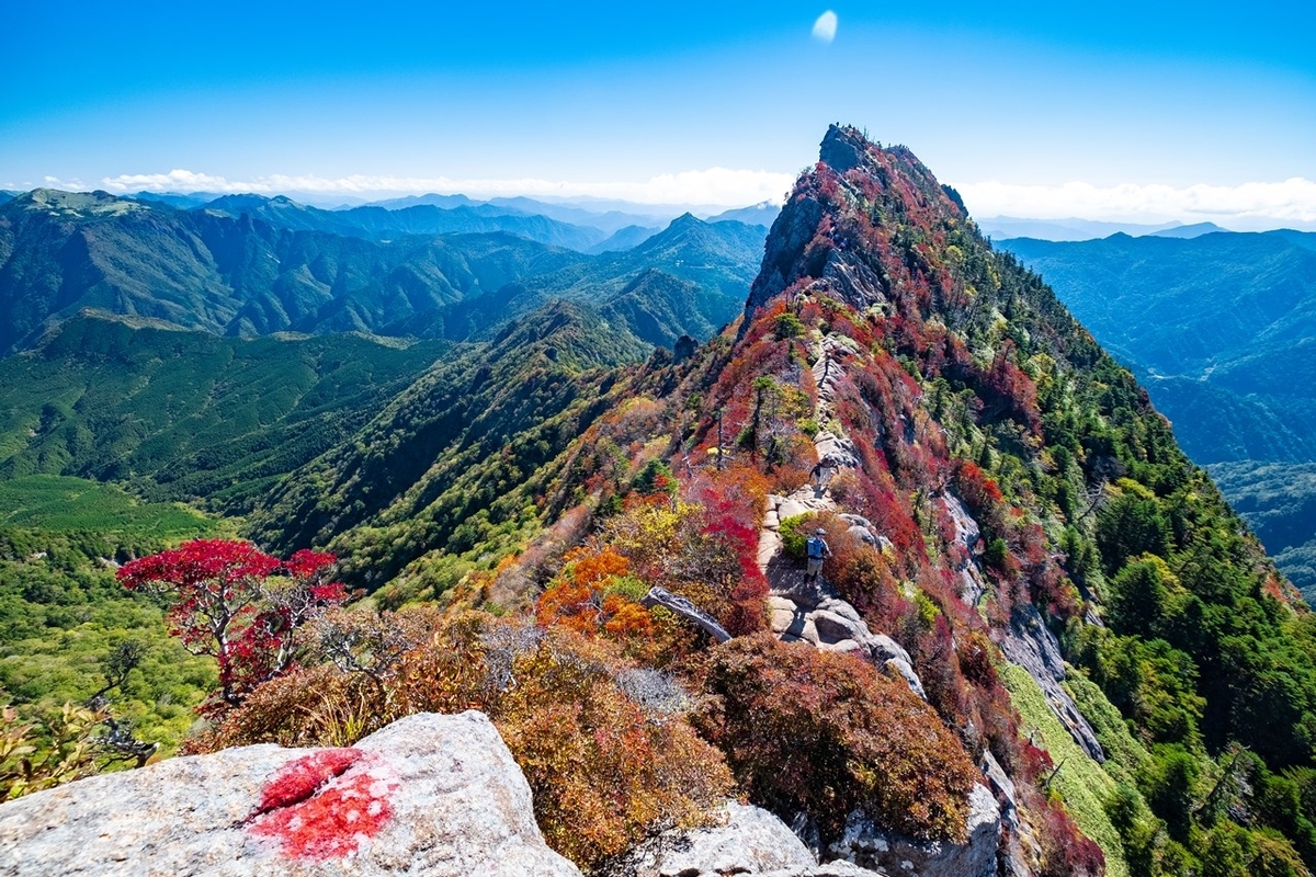 f:id:KOTARO-PARADISE:20211011222855j:plain
