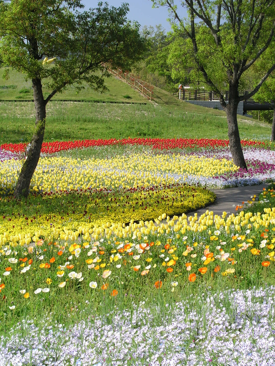 f:id:KOTARO-PARADISE:20211022101056j:plain