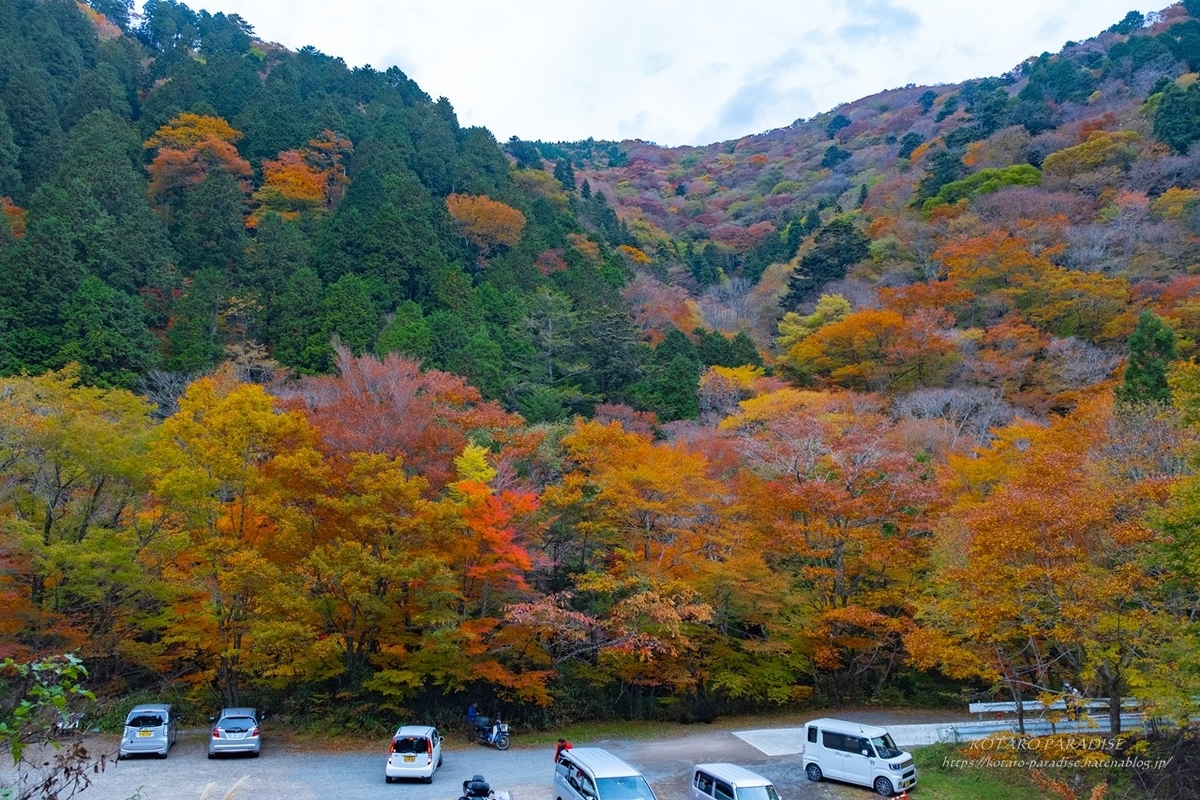 f:id:KOTARO-PARADISE:20211109213411j:plain