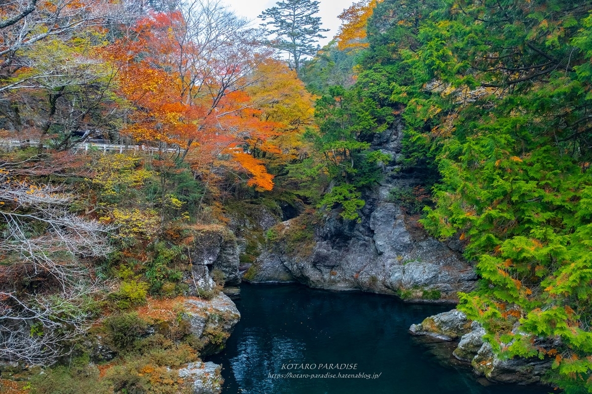 f:id:KOTARO-PARADISE:20211109215153j:plain