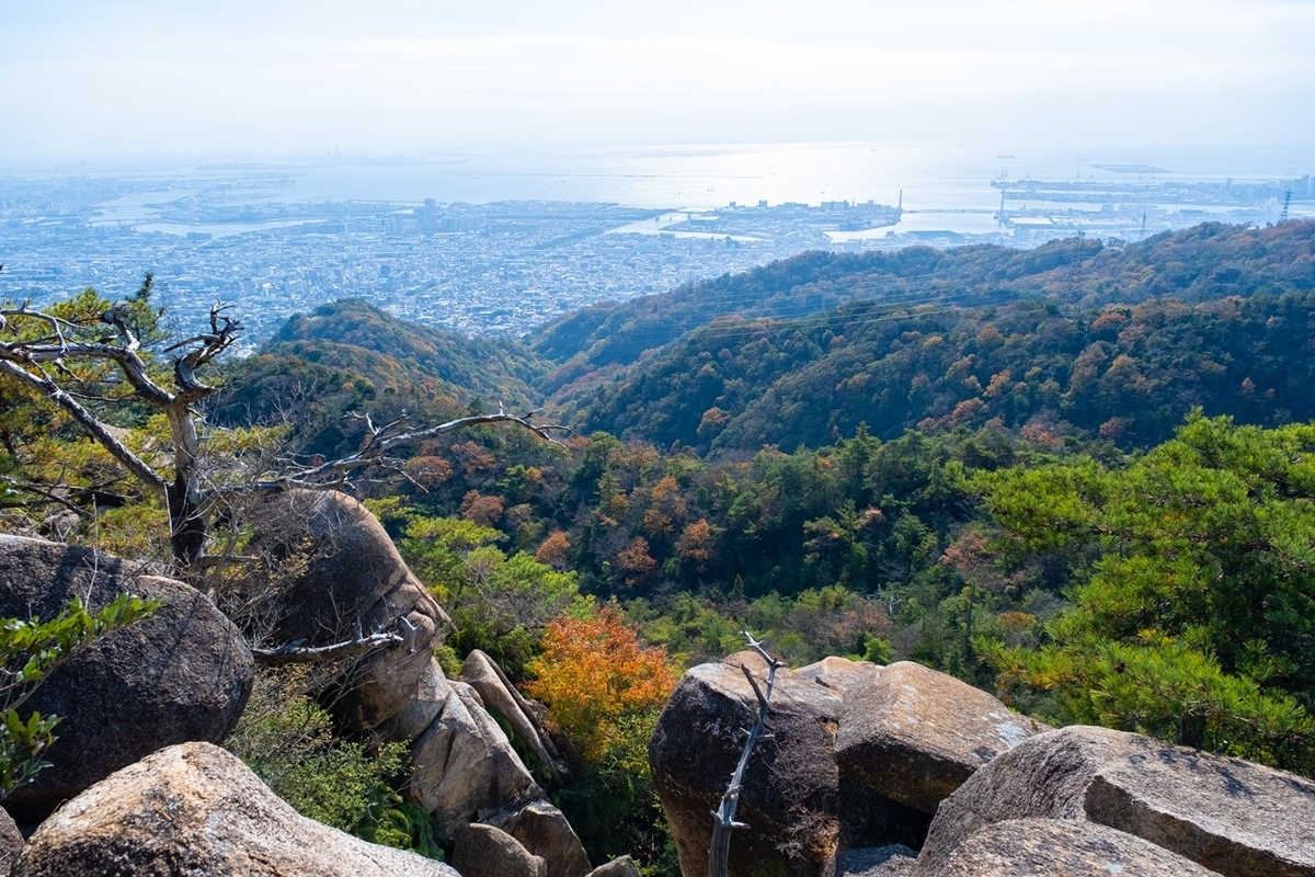 f:id:KOTARO-PARADISE:20211128170210j:plain