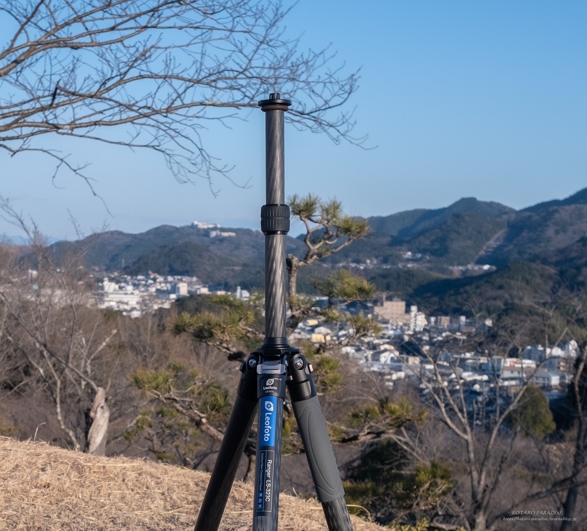 f:id:KOTARO-PARADISE:20220217212915j:plain