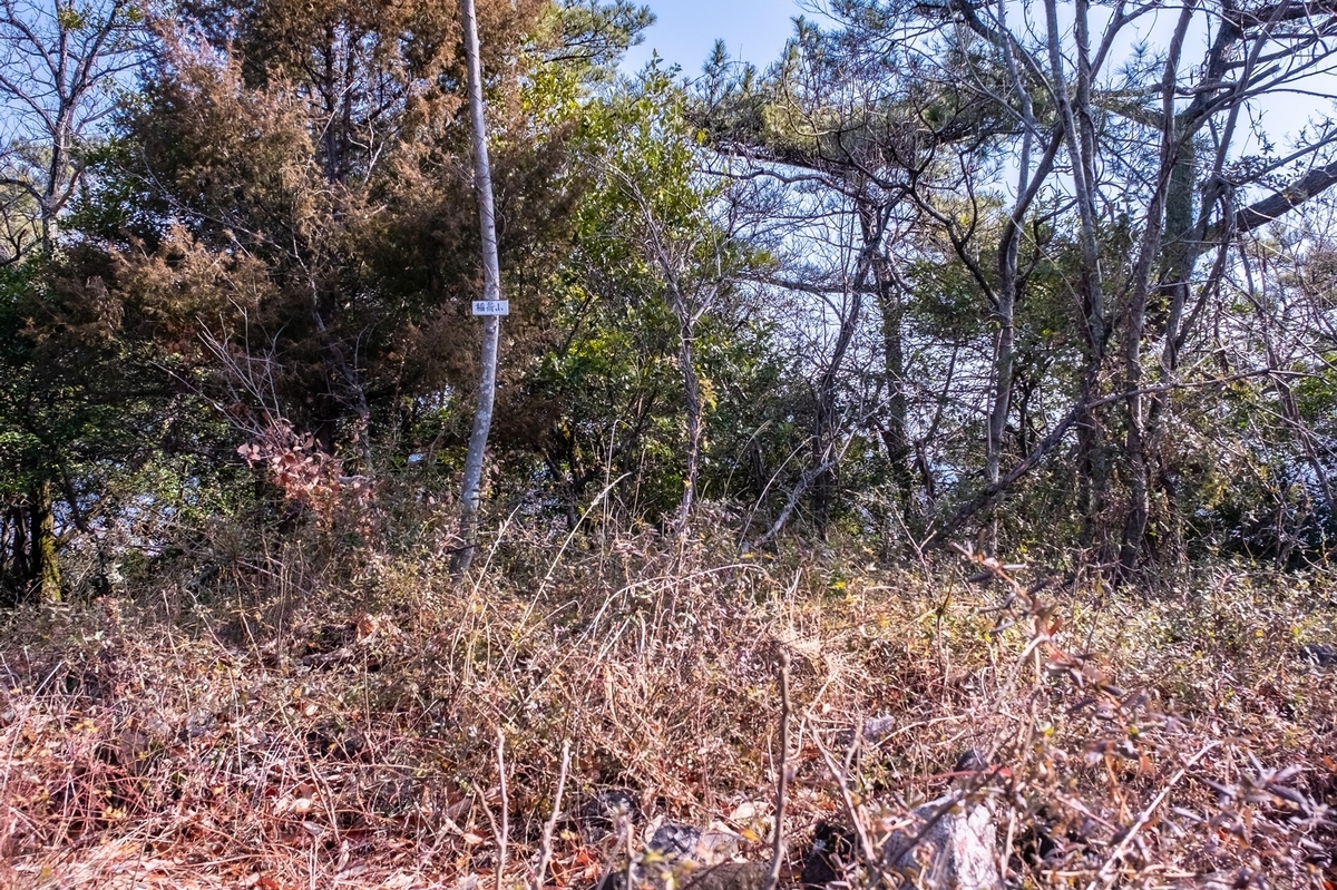 f:id:KOTARO-PARADISE:20220221170558j:plain