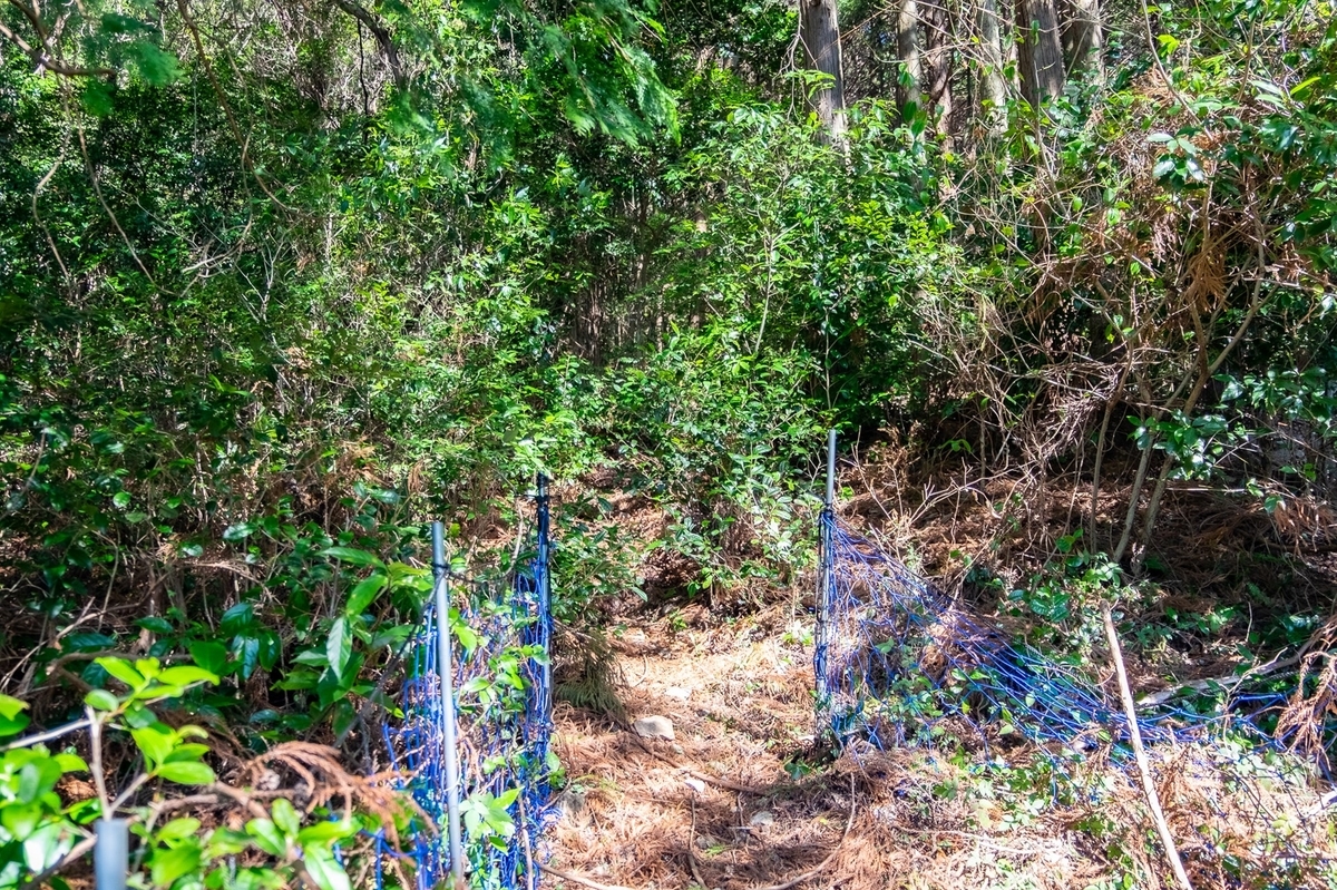 f:id:KOTARO-PARADISE:20220227100143j:plain