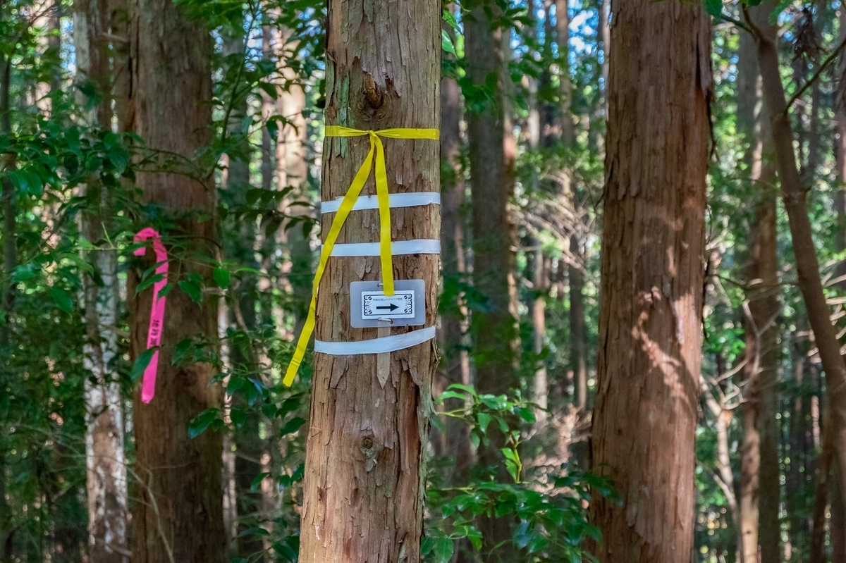 f:id:KOTARO-PARADISE:20220227100258j:plain