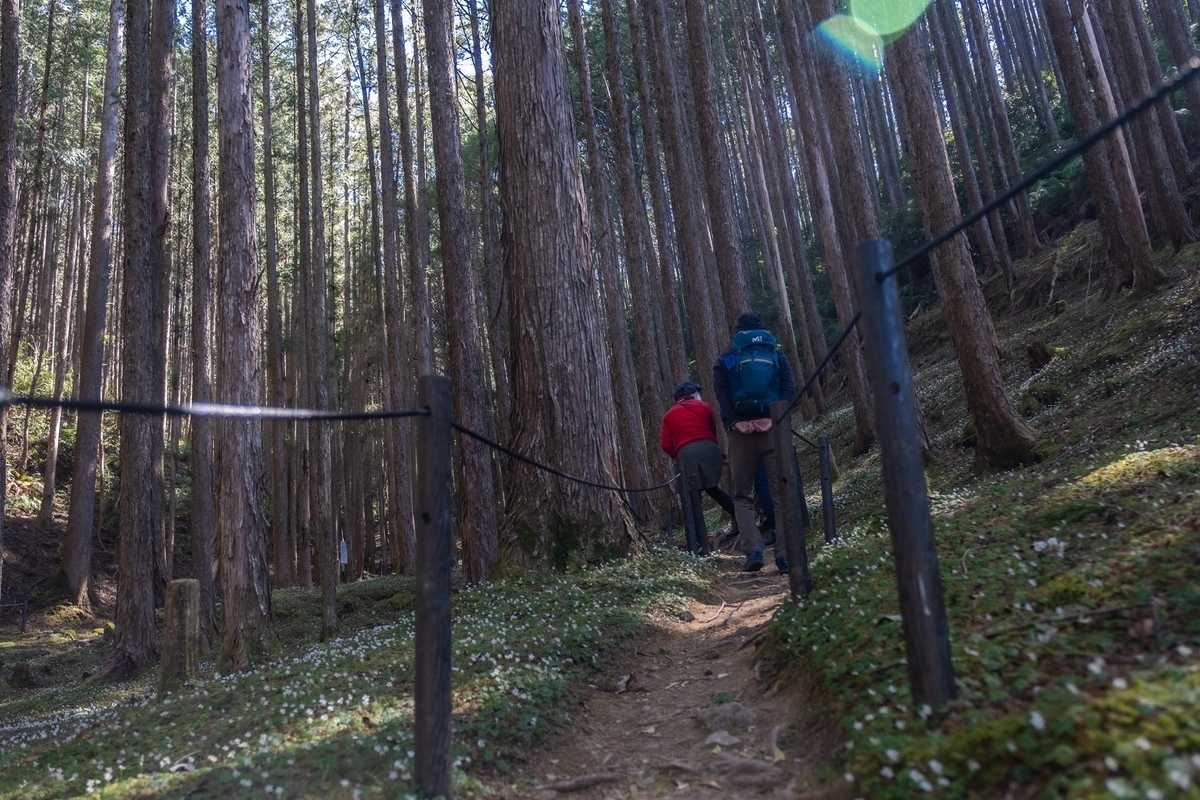 f:id:KOTARO-PARADISE:20220306203512j:plain