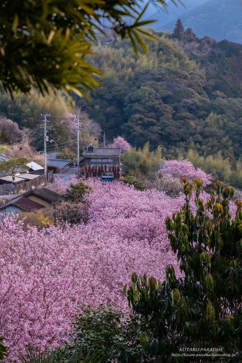 f:id:KOTARO-PARADISE:20220309221050j:plain