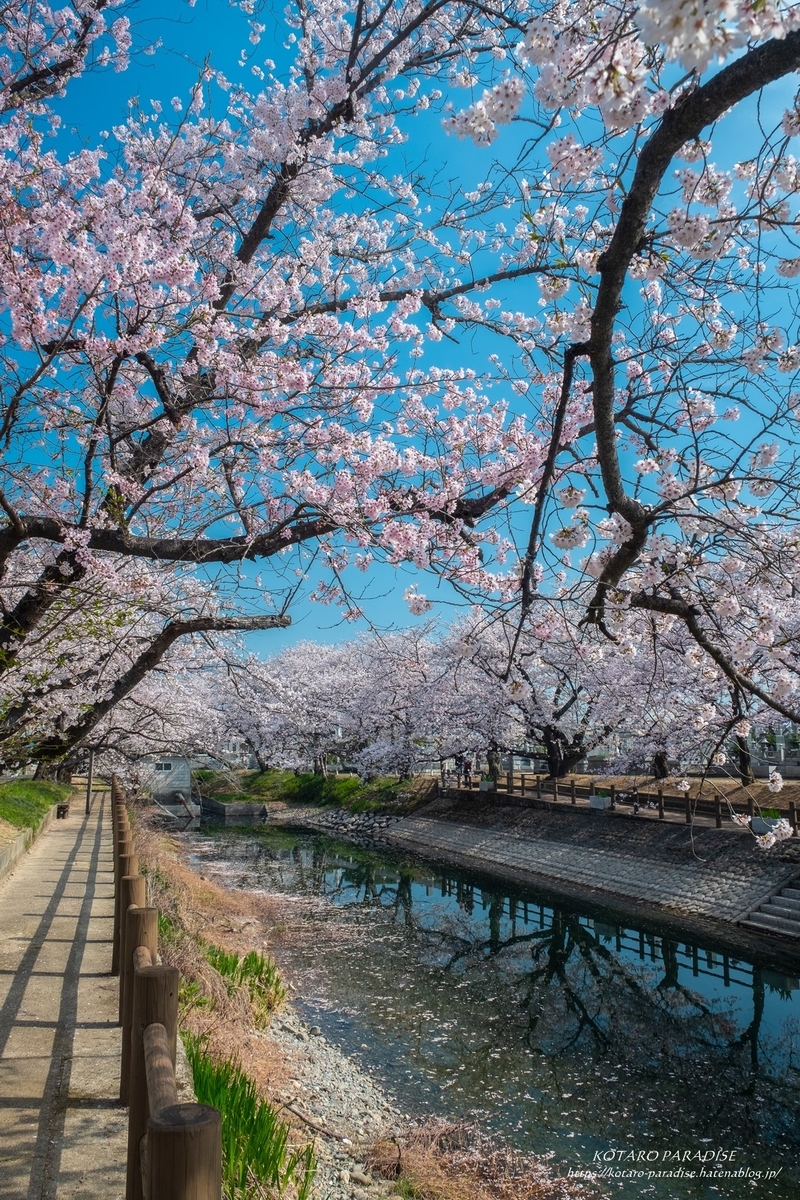 f:id:KOTARO-PARADISE:20220405104430j:plain