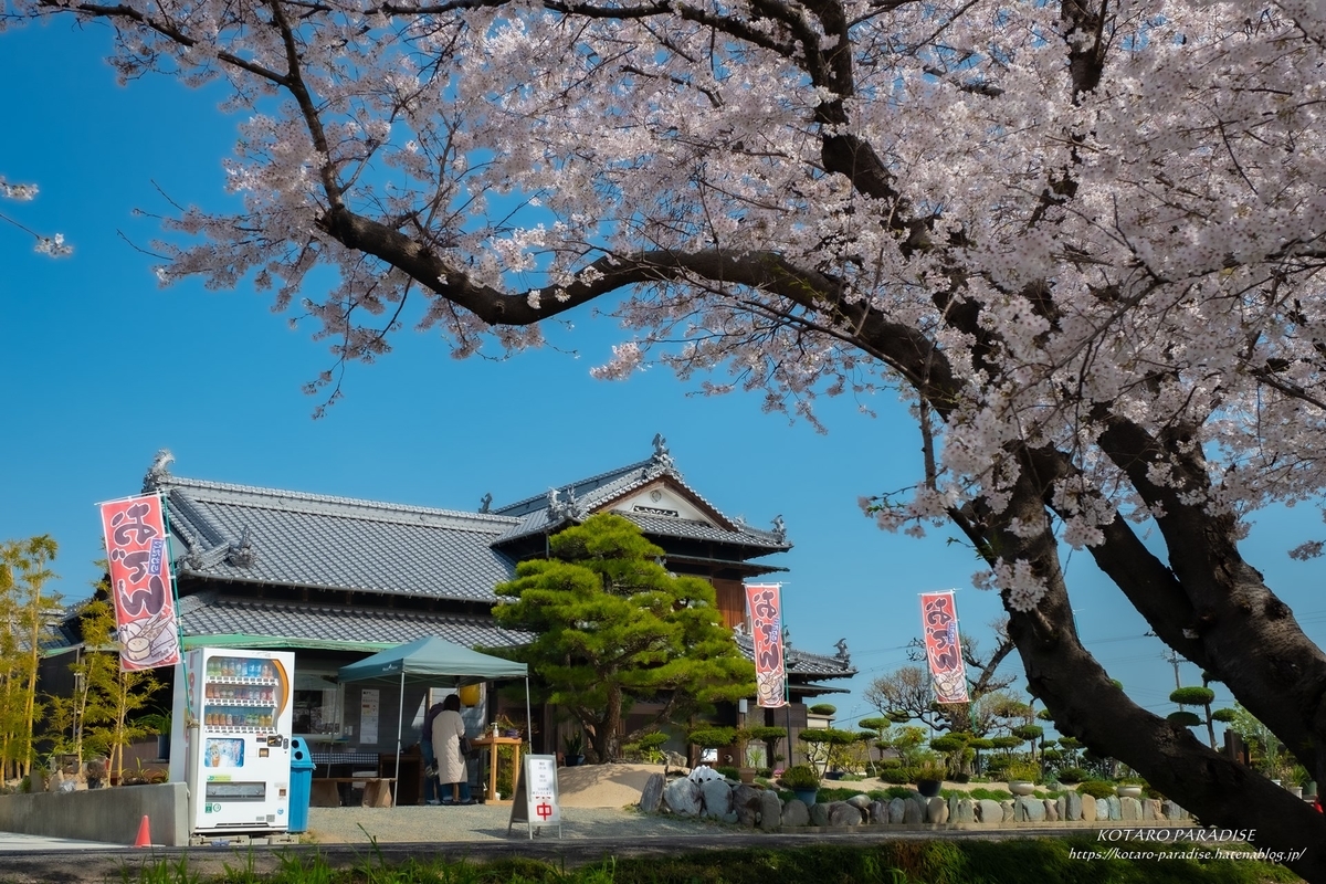 f:id:KOTARO-PARADISE:20220405104830j:plain