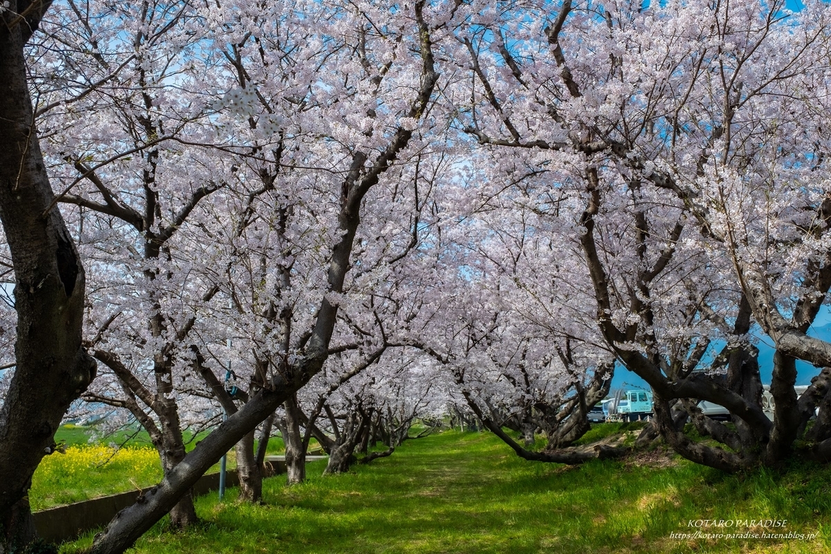 f:id:KOTARO-PARADISE:20220405105110j:plain