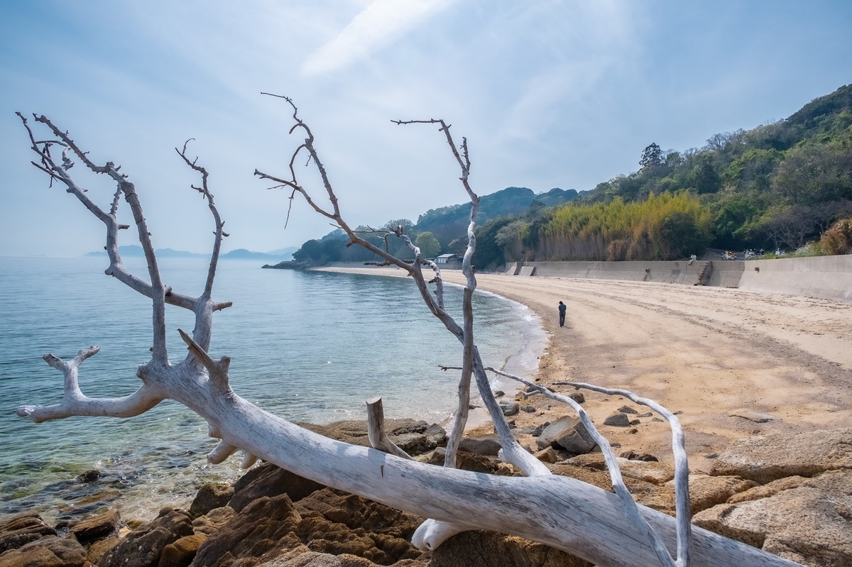 f:id:KOTARO-PARADISE:20220414110839j:plain