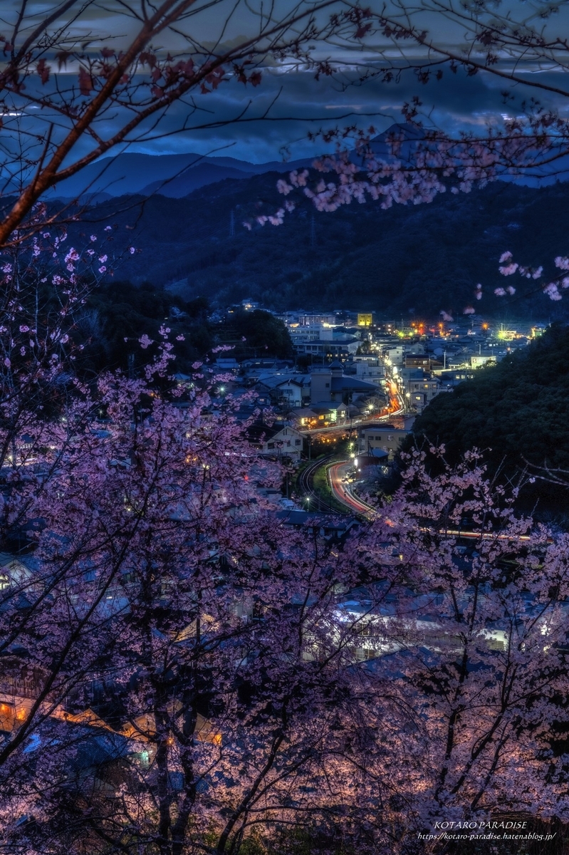 桜夜 夜桜撮影！！（日本橋～六本木編）｜ジェイ☆のブログ