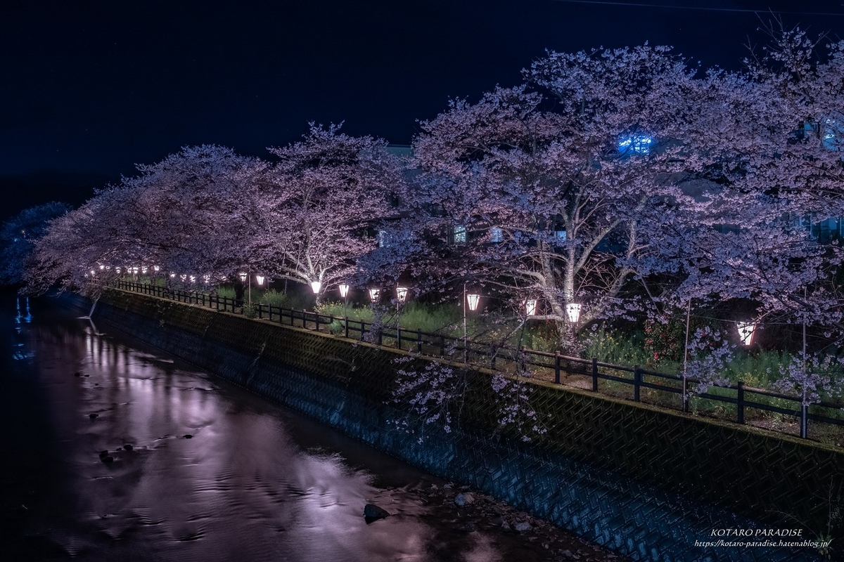桜夜 夜桜撮影！！（日本橋～六本木編）｜ジェイ☆のブログ