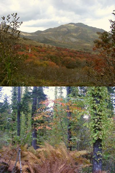 f:id:KOUMEMYLOVE4794:20210825175225j:plain