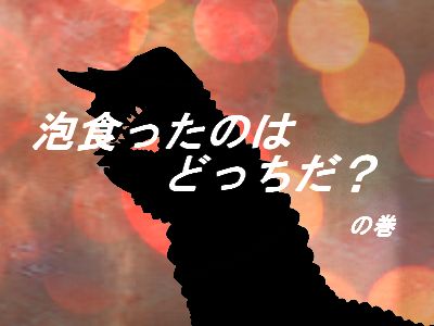 f:id:KOUMEMYLOVE4794:20211126184938j:plain