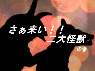 f:id:KOUMEMYLOVE4794:20211207103919j:plain