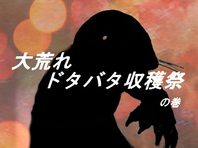 f:id:KOUMEMYLOVE4794:20211210152642j:plain