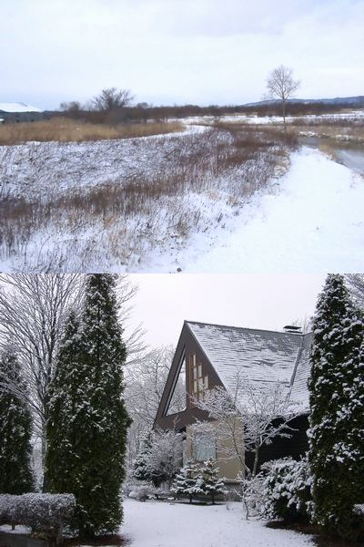 f:id:KOUMEMYLOVE4794:20211220185106j:plain