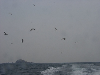 f:id:KOUMEMYLOVE4794:20220226220128j:plain