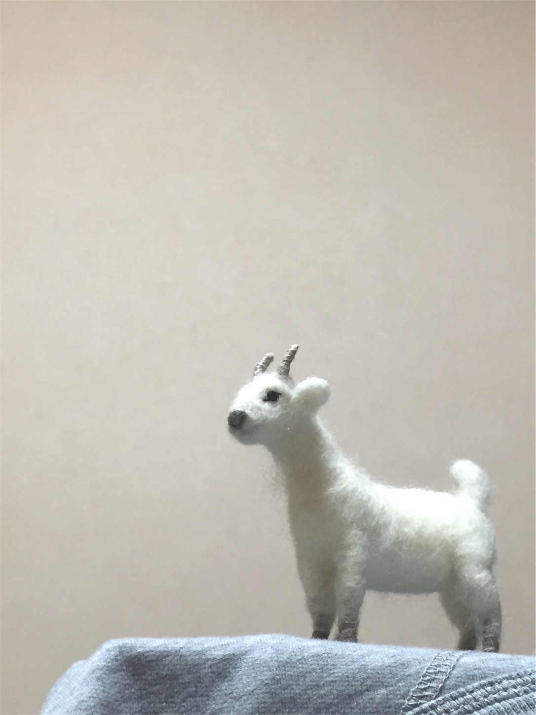 f:id:KOYANIMALS:20170721013301j:image f:id:KOYANIMALS:20170721013301j:image