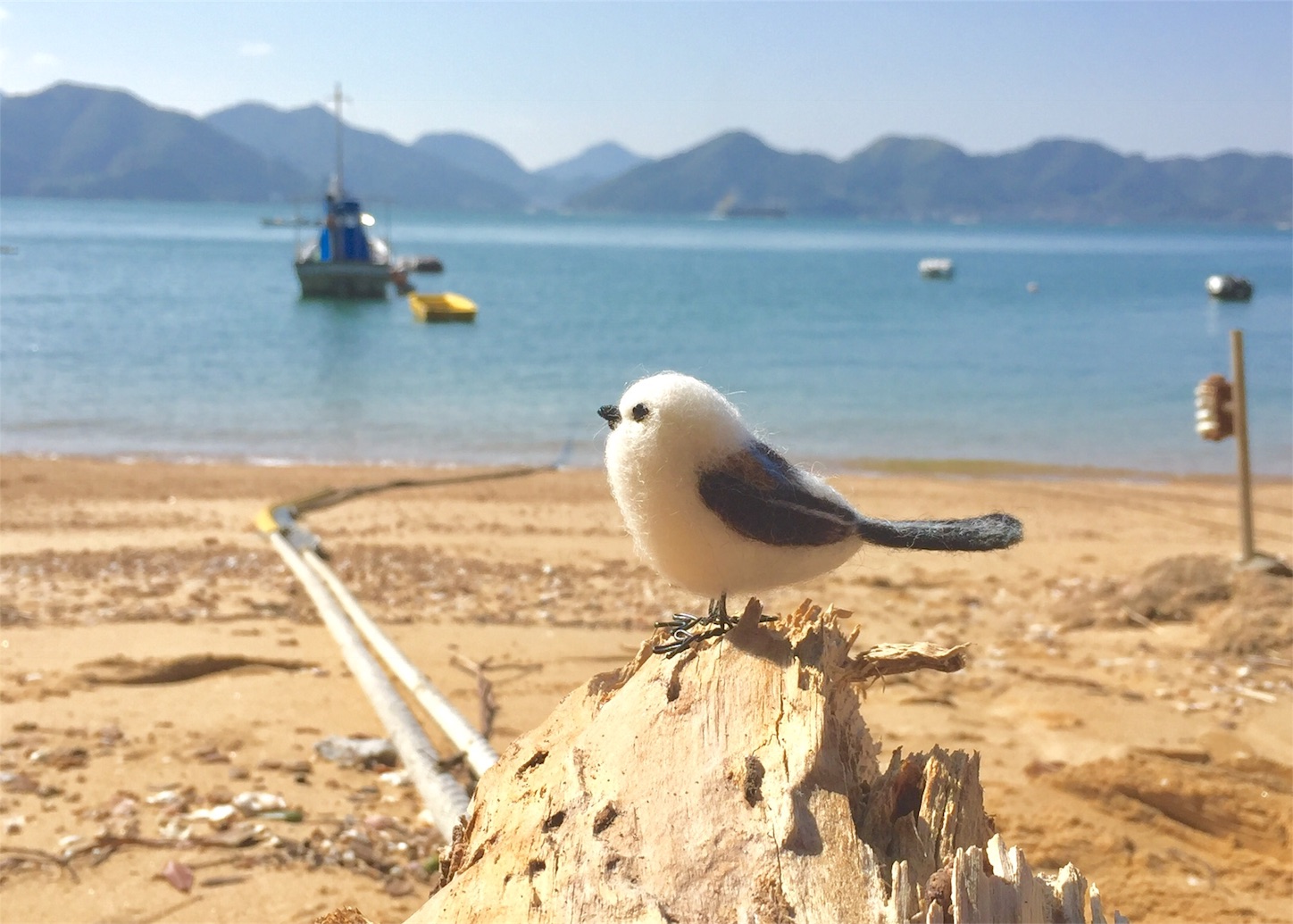 f:id:KOYANIMALS:20171129103855j:image f:id:KOYANIMALS:20171129103855j:image