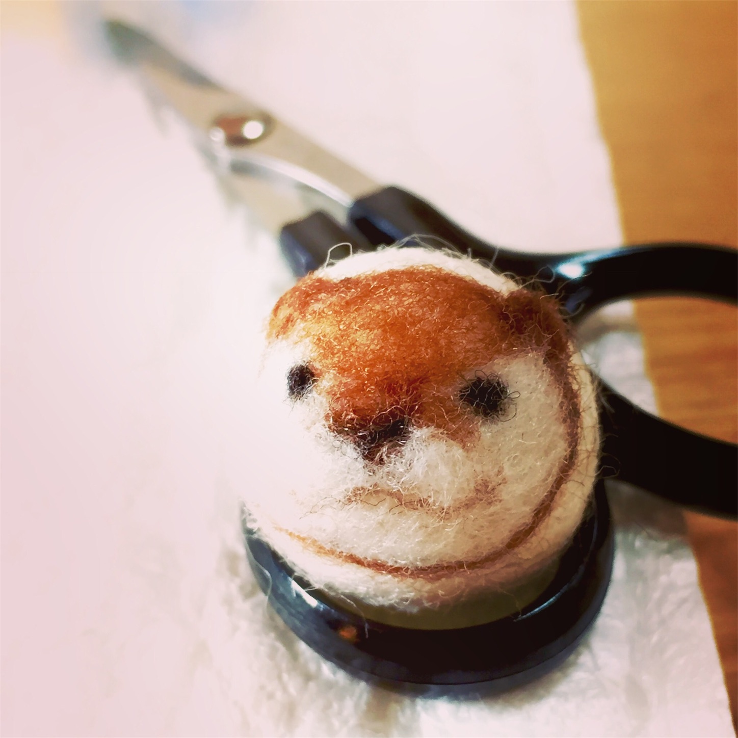 f:id:KOYANIMALS:20180220011955j:image f:id:KOYANIMALS:20180220011955j:image