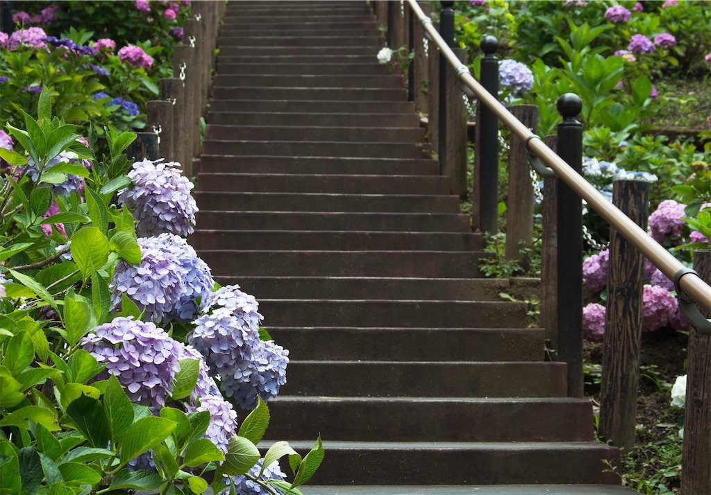 f:id:KRkarasu:20200807214453j:image