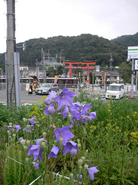 f:id:KS-2384ai:20190706023654j:plain f:id:KS-2384ai:20190706023654j:plain