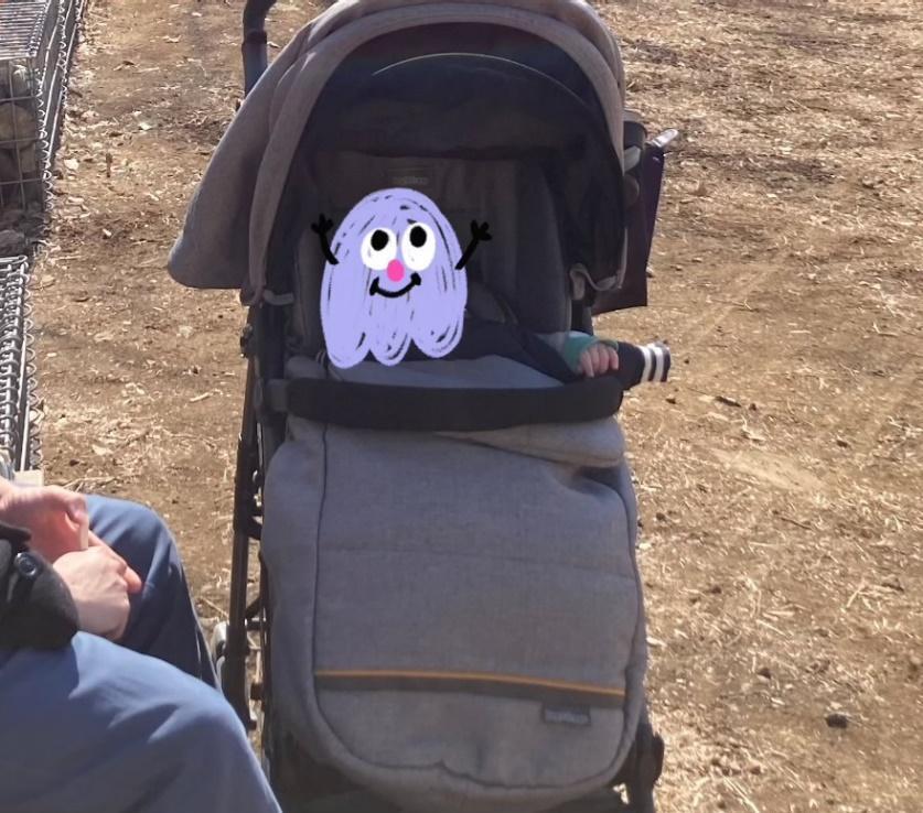 ペグペレーゴ Siベビーカー 口コミ