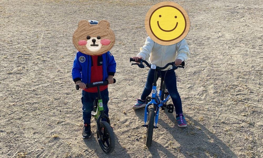 ストライダー 口コミ