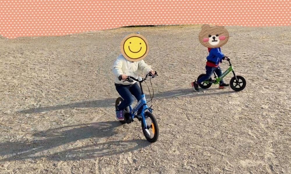 ストライダー 口コミ