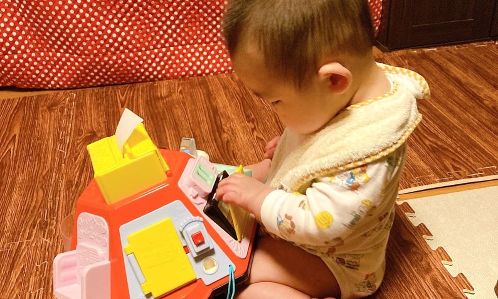 いたずら1歳やりたい放題ビッグ版リアル 口コミ