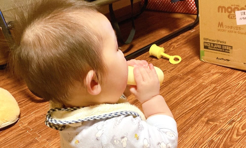 いたずら1歳やりたい放題ビッグ版リアル 口コミ