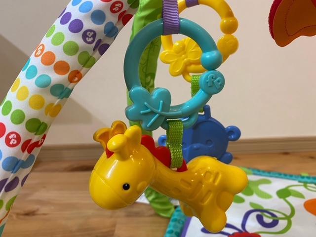 フィッシャープライス(fisher price) レインフォレスト指遊びミュージカルジムの口コミ