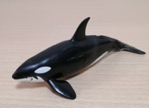 動物フィギュア　おすすめ　アニア　シュライヒ　違い