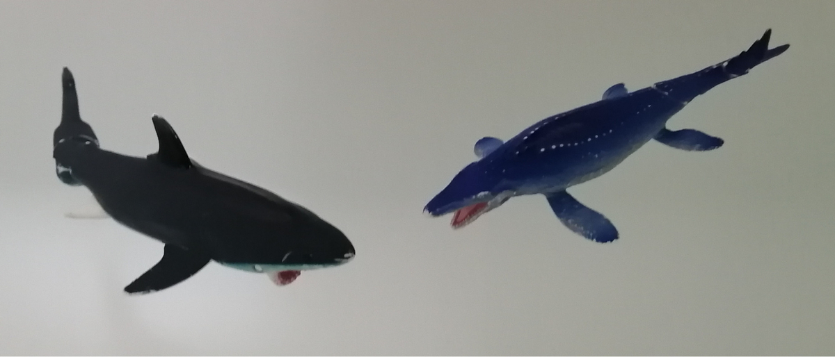 動物フィギュア　おすすめ　アニア　シュライヒ　違い