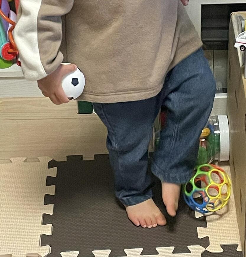 オーボール　いつから　いつまで