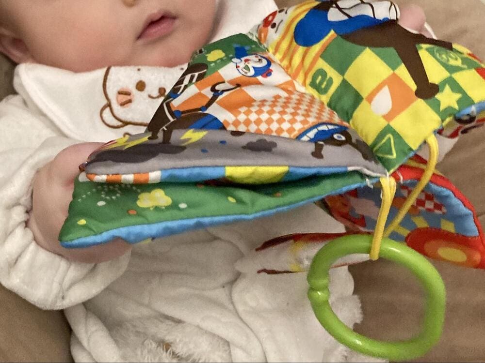 アンパンマン脳を育むおでかけ布絵本の口コミ