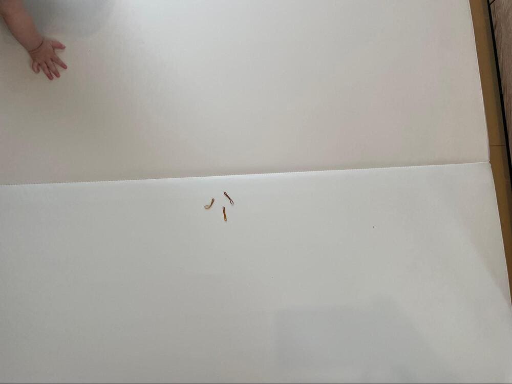 カラズマット　口コミ