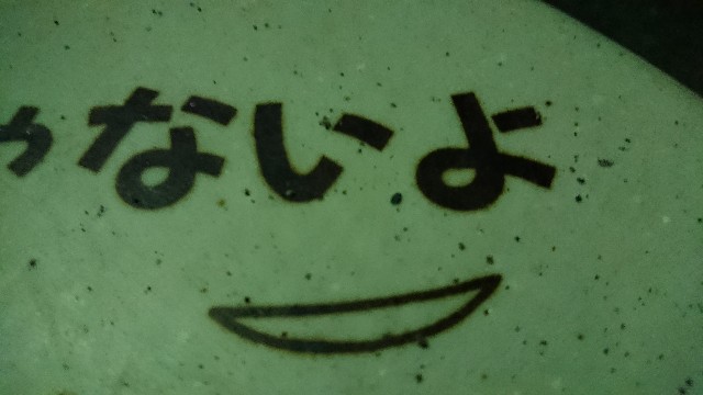 f:id:KSGKSGKSG:20171127213409j:plain f:id:KSGKSGKSG:20171127213409j:plain