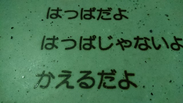 f:id:KSGKSGKSG:20171127213423j:plain f:id:KSGKSGKSG:20171127213423j:plain