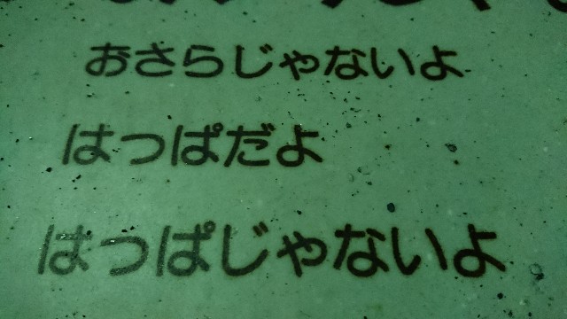 f:id:KSGKSGKSG:20171127213527j:plain f:id:KSGKSGKSG:20171127213527j:plain