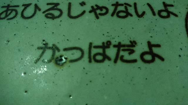 f:id:KSGKSGKSG:20171127213721j:plain f:id:KSGKSGKSG:20171127213721j:plain
