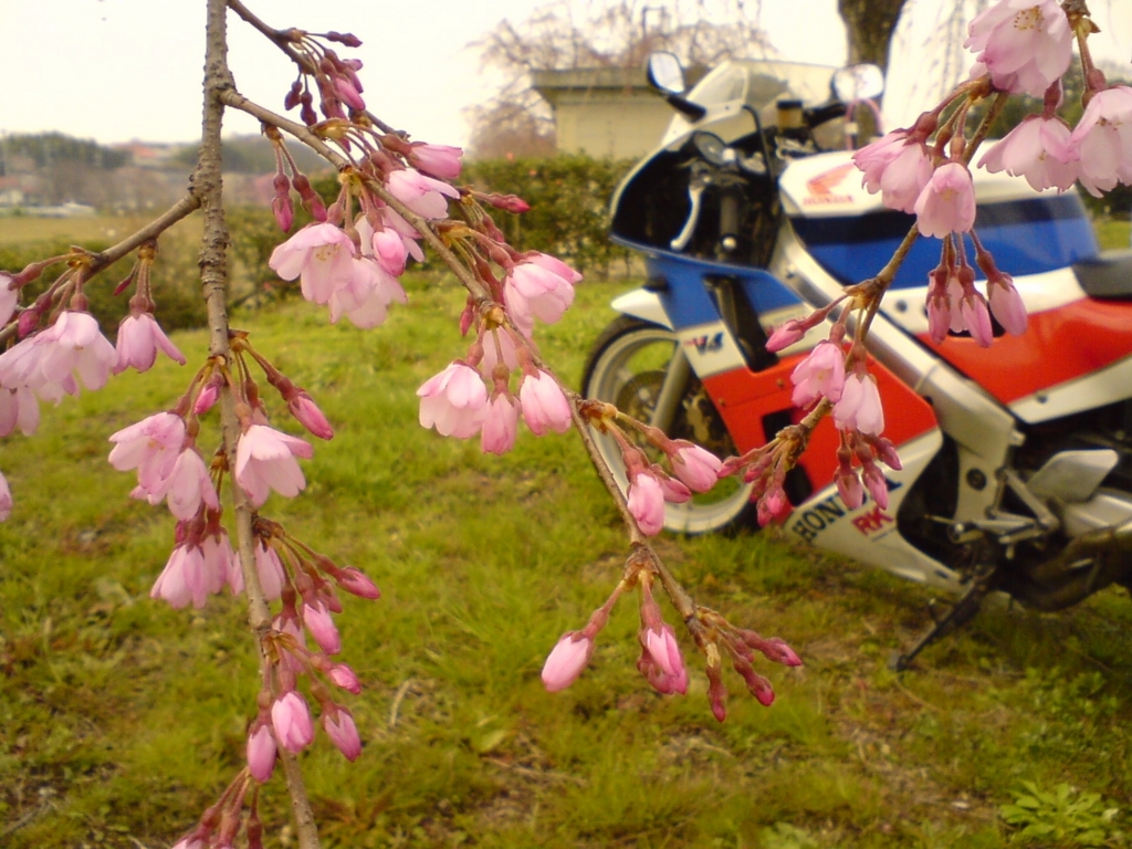 f:id:KURAman:20170405135707j:plain