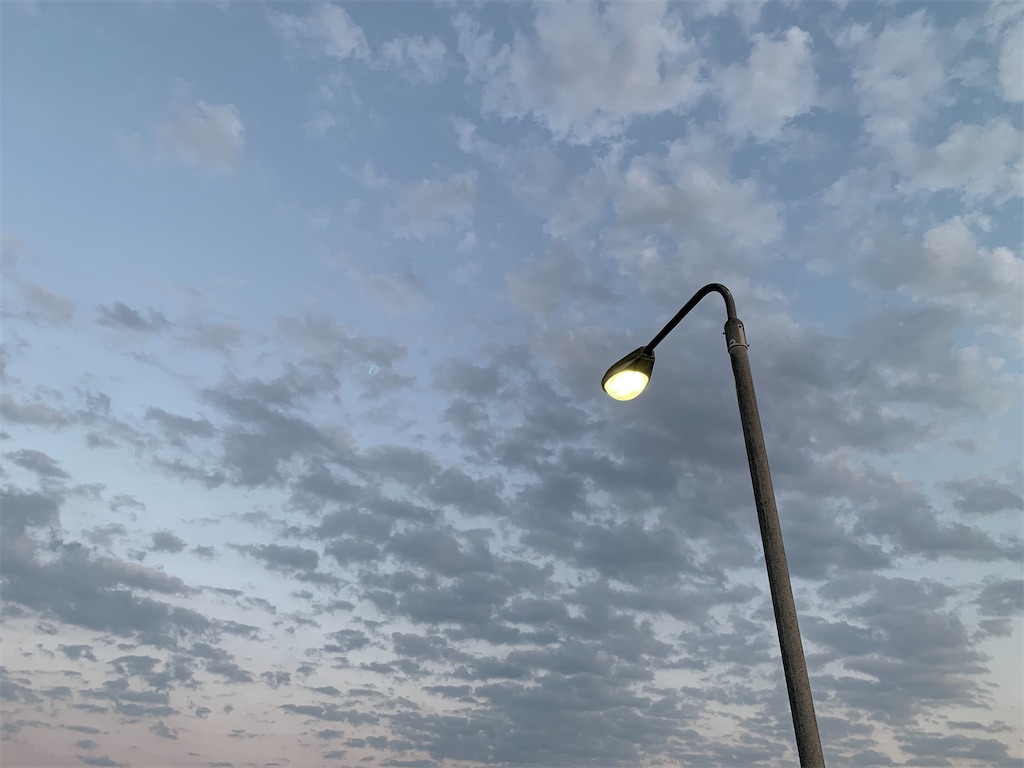 f:id:KUROMIMI:20210608181743j:image f:id:KUROMIMI:20210608181743j:image