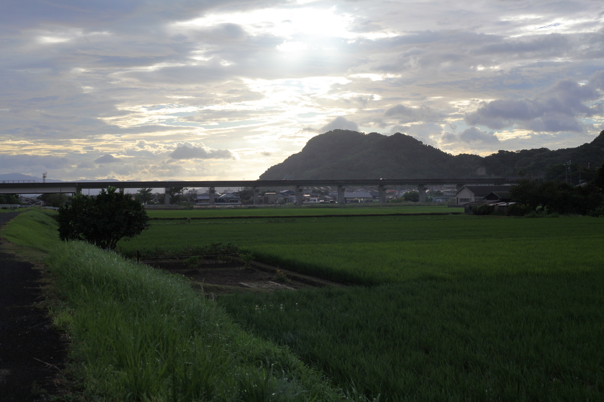 CANON EOS 5D mk.2 作例 - 黒酢バイクのあれこれ