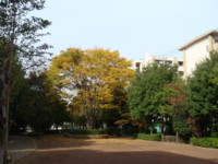f:id:KUSHIBIKI:20101113115842j:image